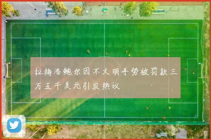 拉梅洛鲍尔因不文明手势被罚款三万五千美元引发热议