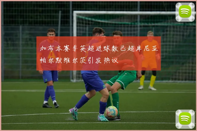 加布本赛季英超进球数已超库尼亚帕尔默维尔茨引发热议
