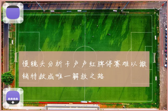 慢镜头分析卡卢卢红牌停赛难以撤销特赦成唯一解救之路