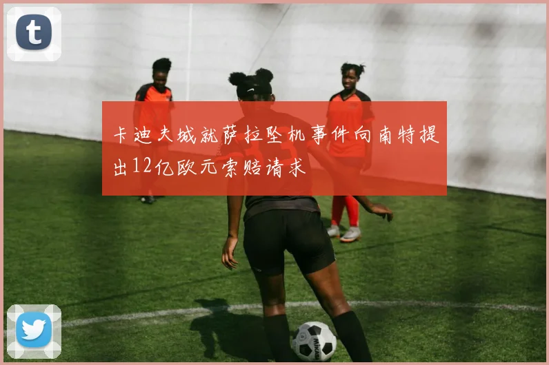 卡迪夫城就萨拉坠机事件向南特提出12亿欧元索赔请求