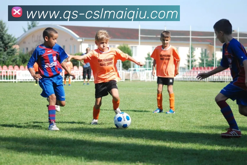 中超买球官网品牌故事