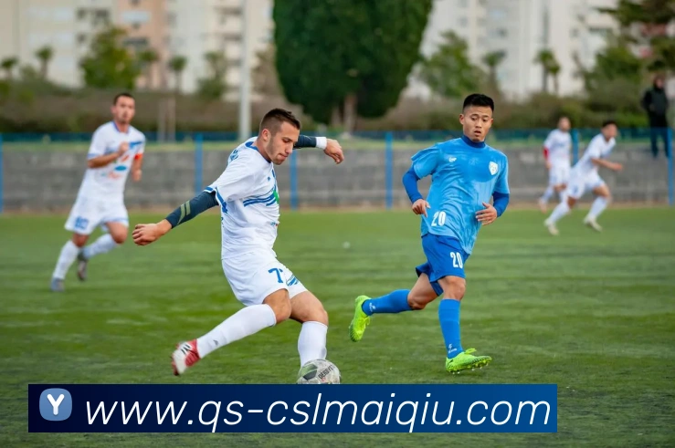 中超买球官网服务体系