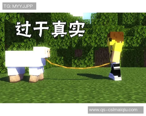 阿门分享与KD的默契配合与信任在场上的真实瞬间